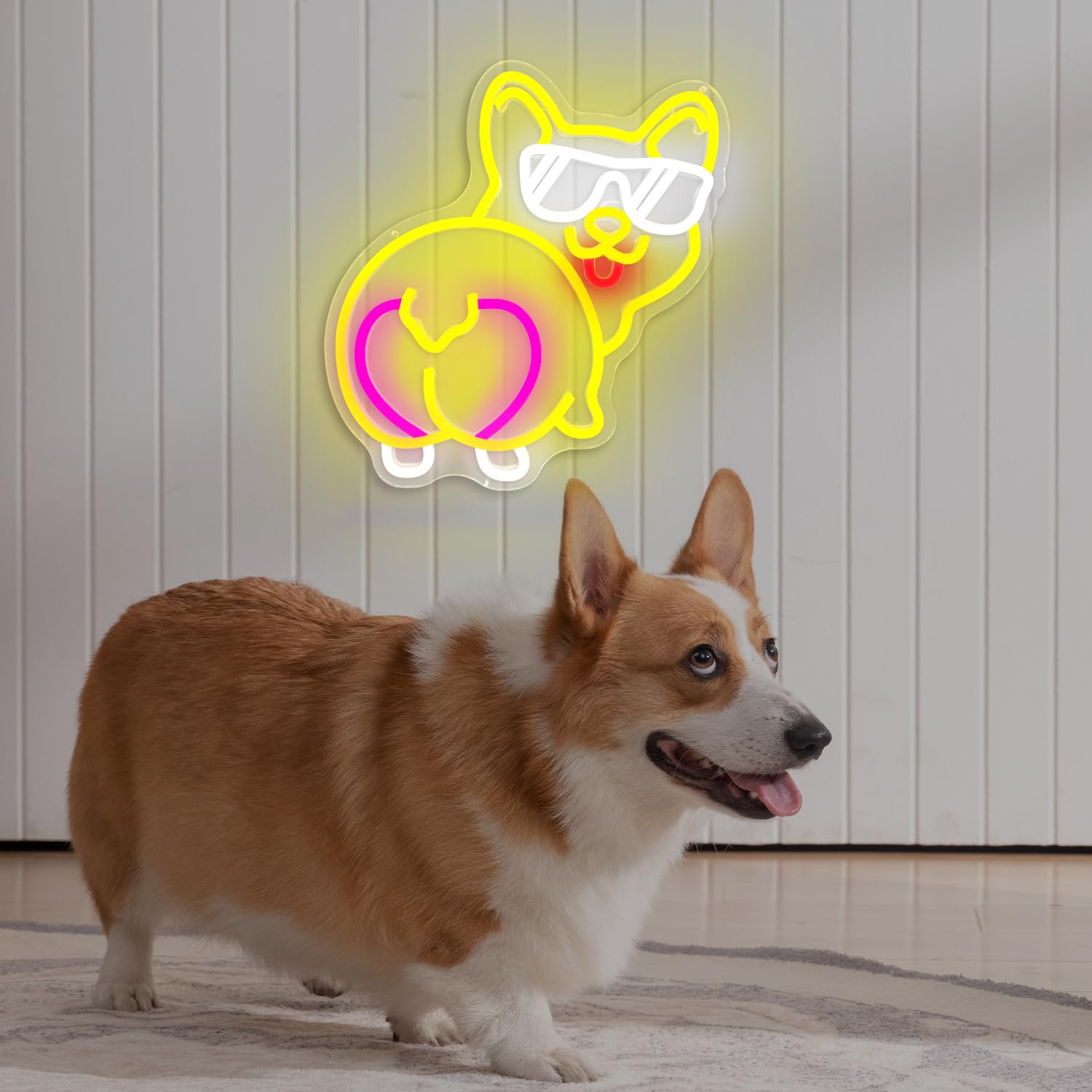 Corgi neon for home