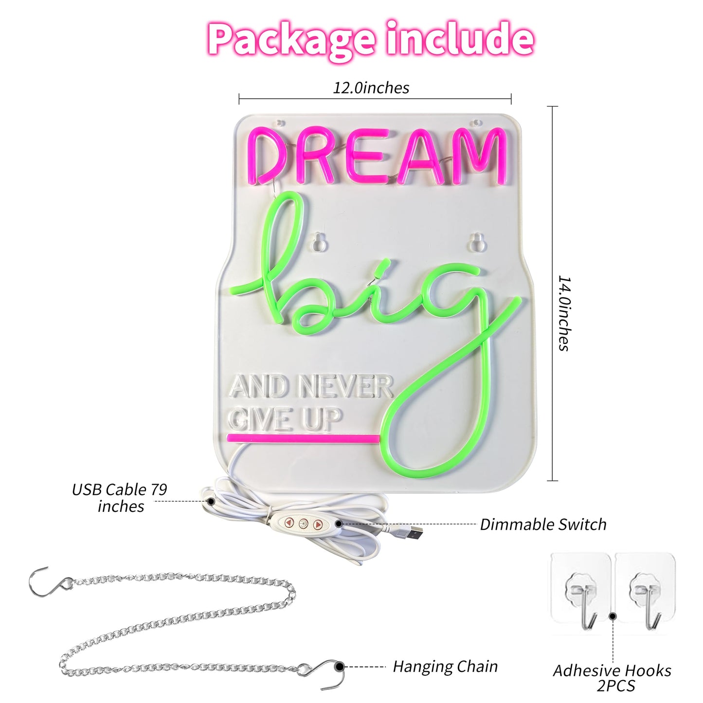Dream Big Neon Decor
