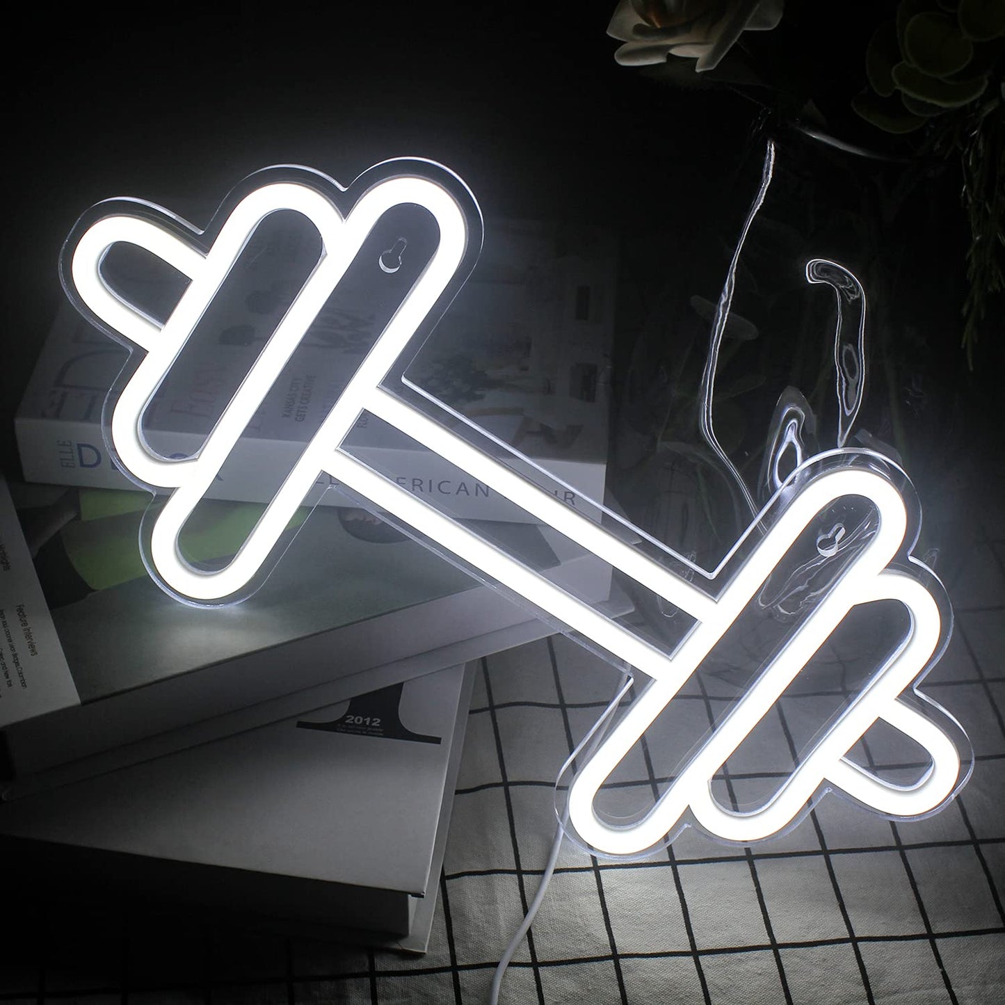 Dumbbell Neon Light
