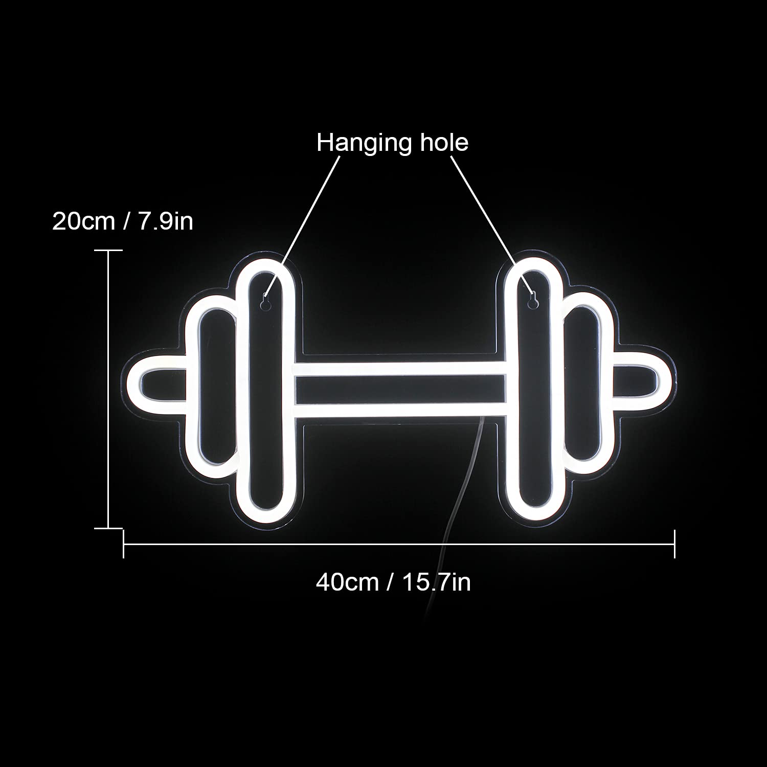 Dumbbell Neon Sign for Gym