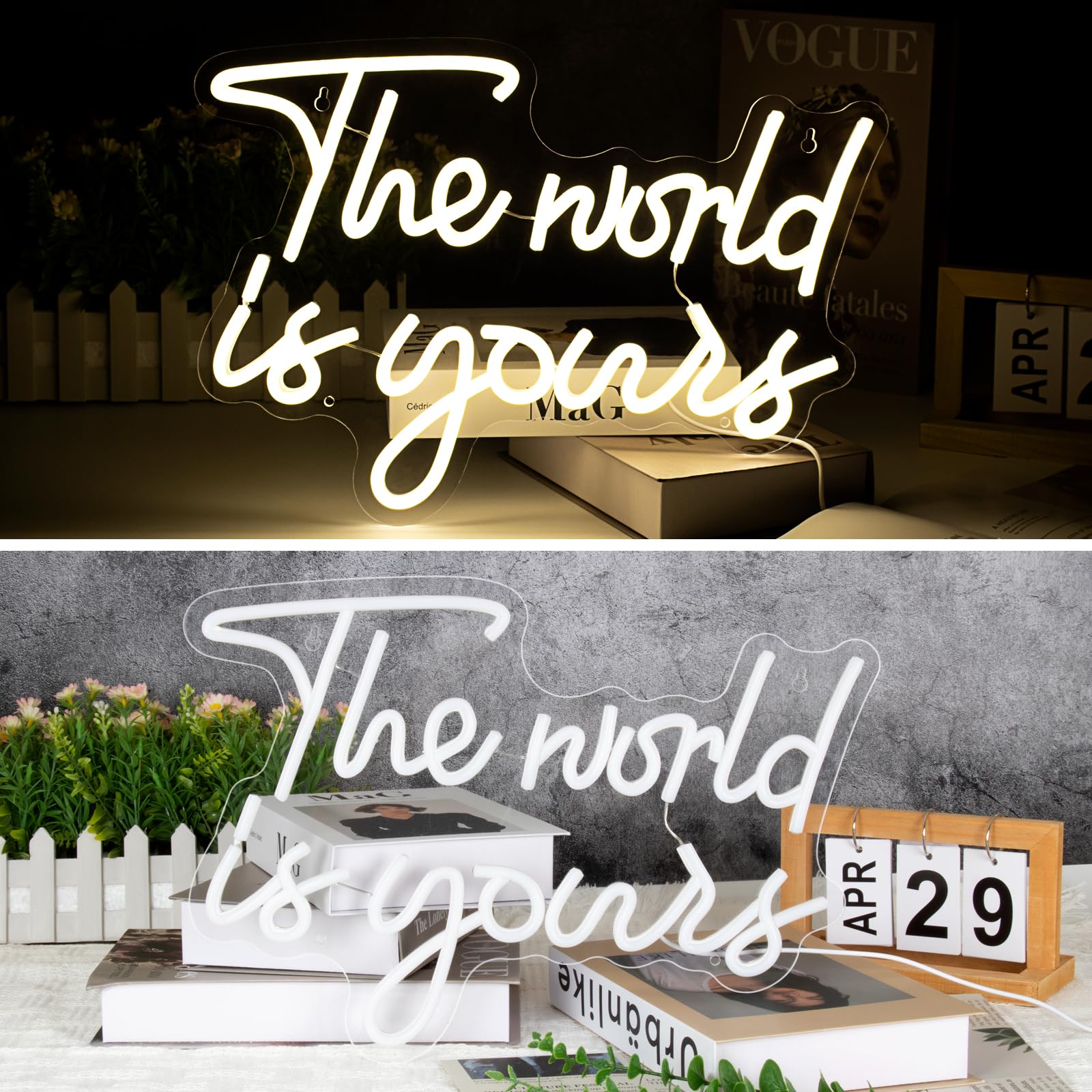 The world is yours neon light