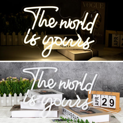 The world is yours neon light